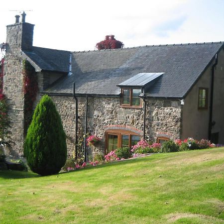 Tan Y Graig Bed and Breakfast Meifod Exteriör bild