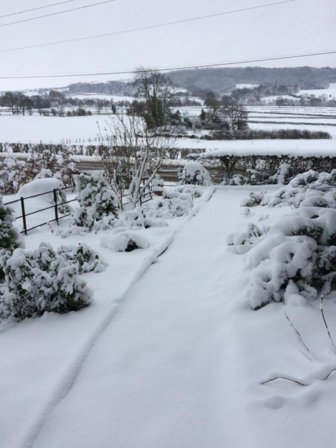 Tan Y Graig Bed and Breakfast Meifod Exteriör bild