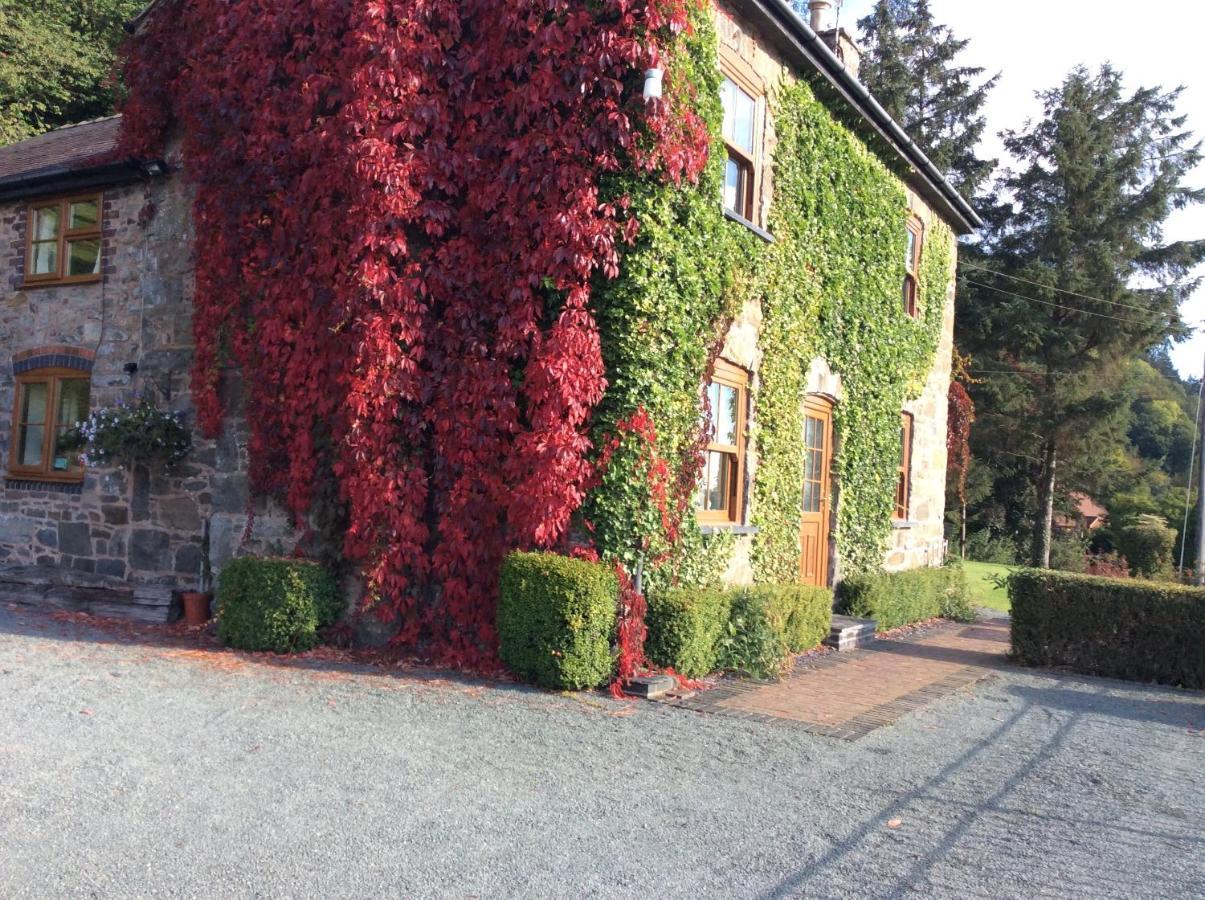 Tan Y Graig Bed and Breakfast Meifod Exteriör bild